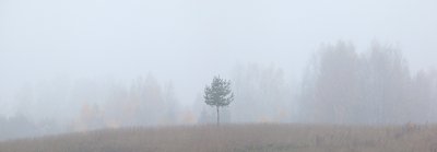 Nii vaikseks kõik on jäänud